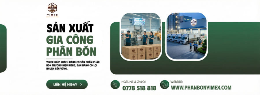 OEM trọn gói tại YIMEX