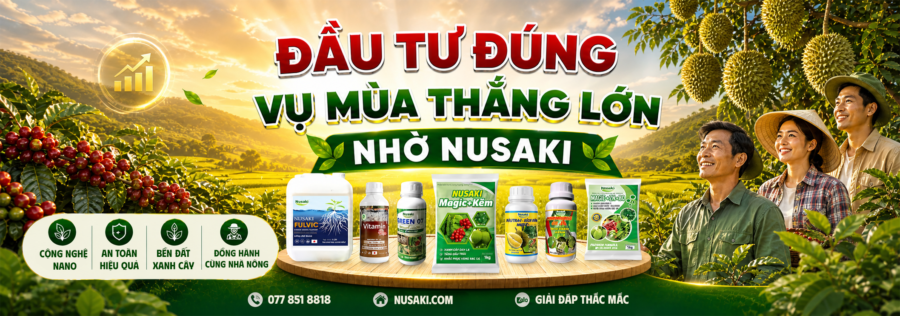 OEM trọn gói tại YIMEX