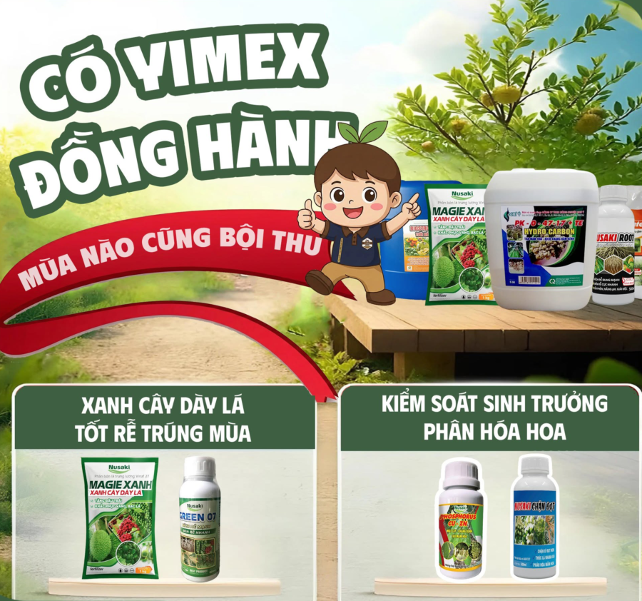 Yimex