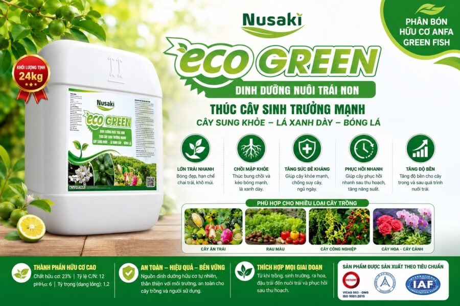 ECO GREEN – Dinh Dưỡng Nuôi Trái Non, Thúc Cây Sinh Trưởng Mạnh