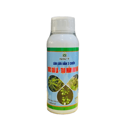 Thúc già lá - Tạo mầm hoa như ý - hỗ trợ phân hóa mầm hoa cà phê giai đoạn làm bông