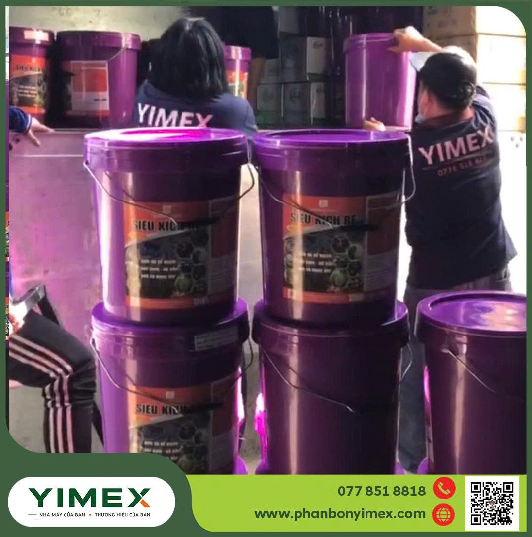 Combo phân bón sầu riêng theo giai đoạn làm bông nuôi trái nhãn riêng