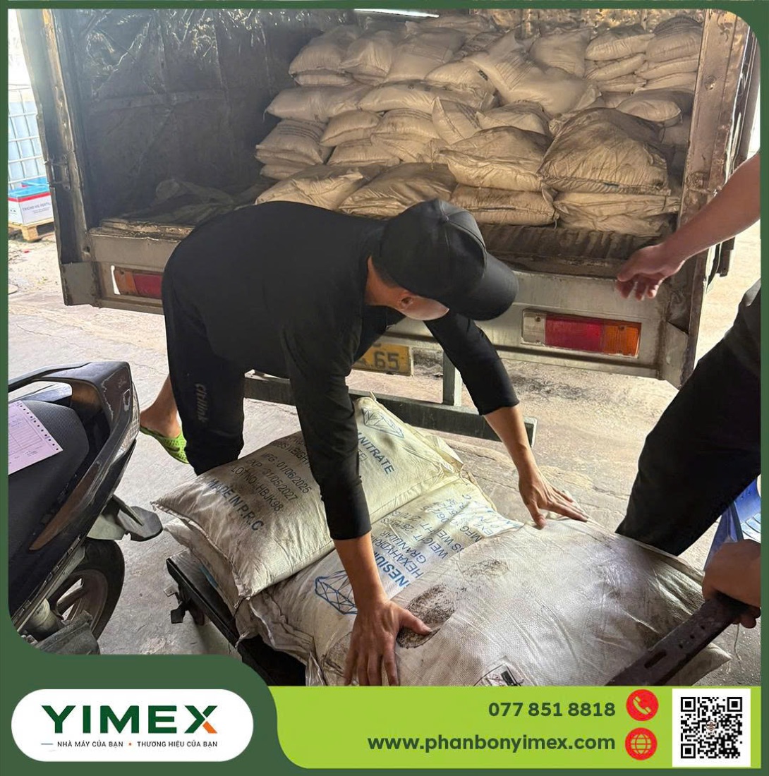 Kho và vận chuyển thành phẩm phân bón Yimex