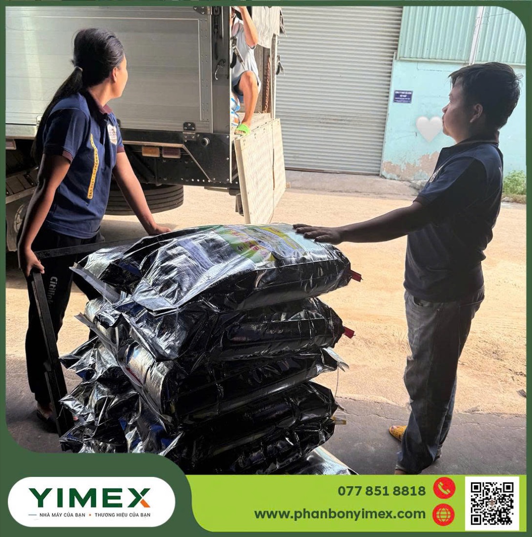 Kho và vận chuyển thành phẩm phân bón Yimex
