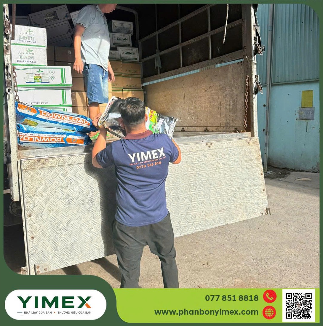 Kho và vận chuyển thành phẩm phân bón Yimex