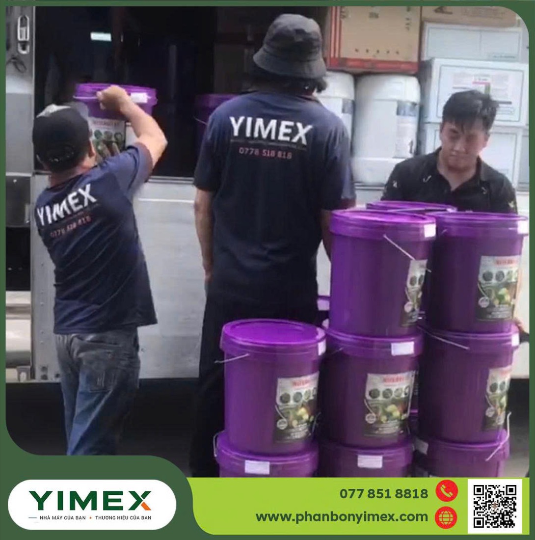 Đóng gói phân bón dạng xô/can tại Yimex
