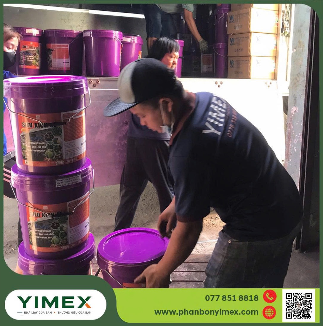 Đóng gói phân bón dạng xô/can tại Yimex