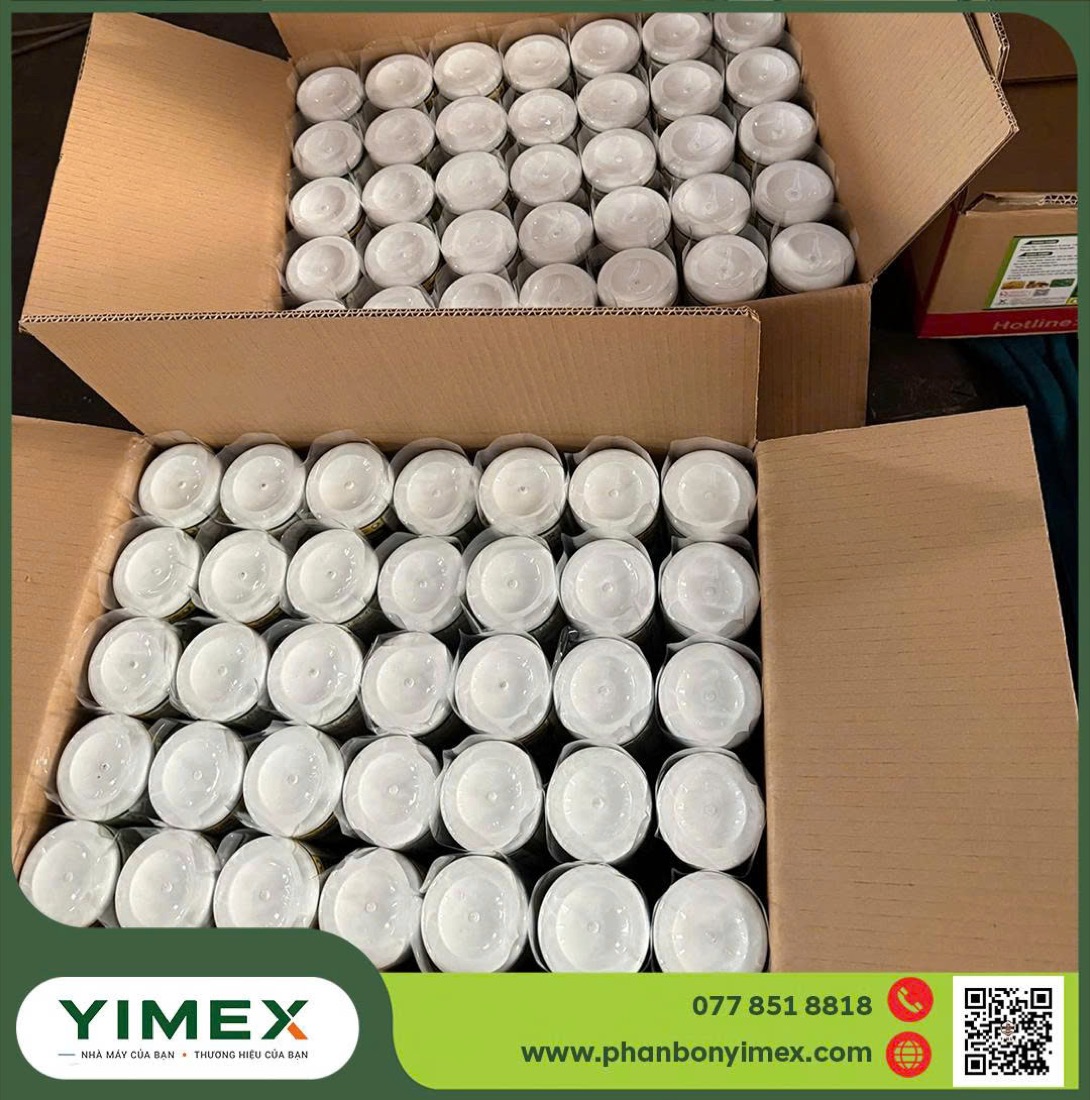 Đóng thùng, dán tem thành phẩm tại Yimex