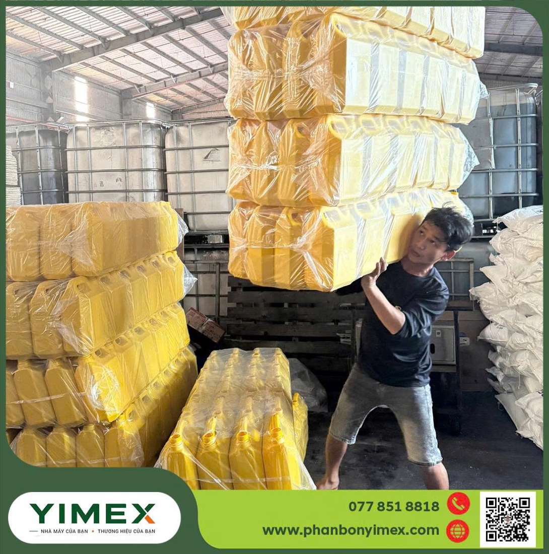 Đóng thùng, dán tem thành phẩm tại Yimex
