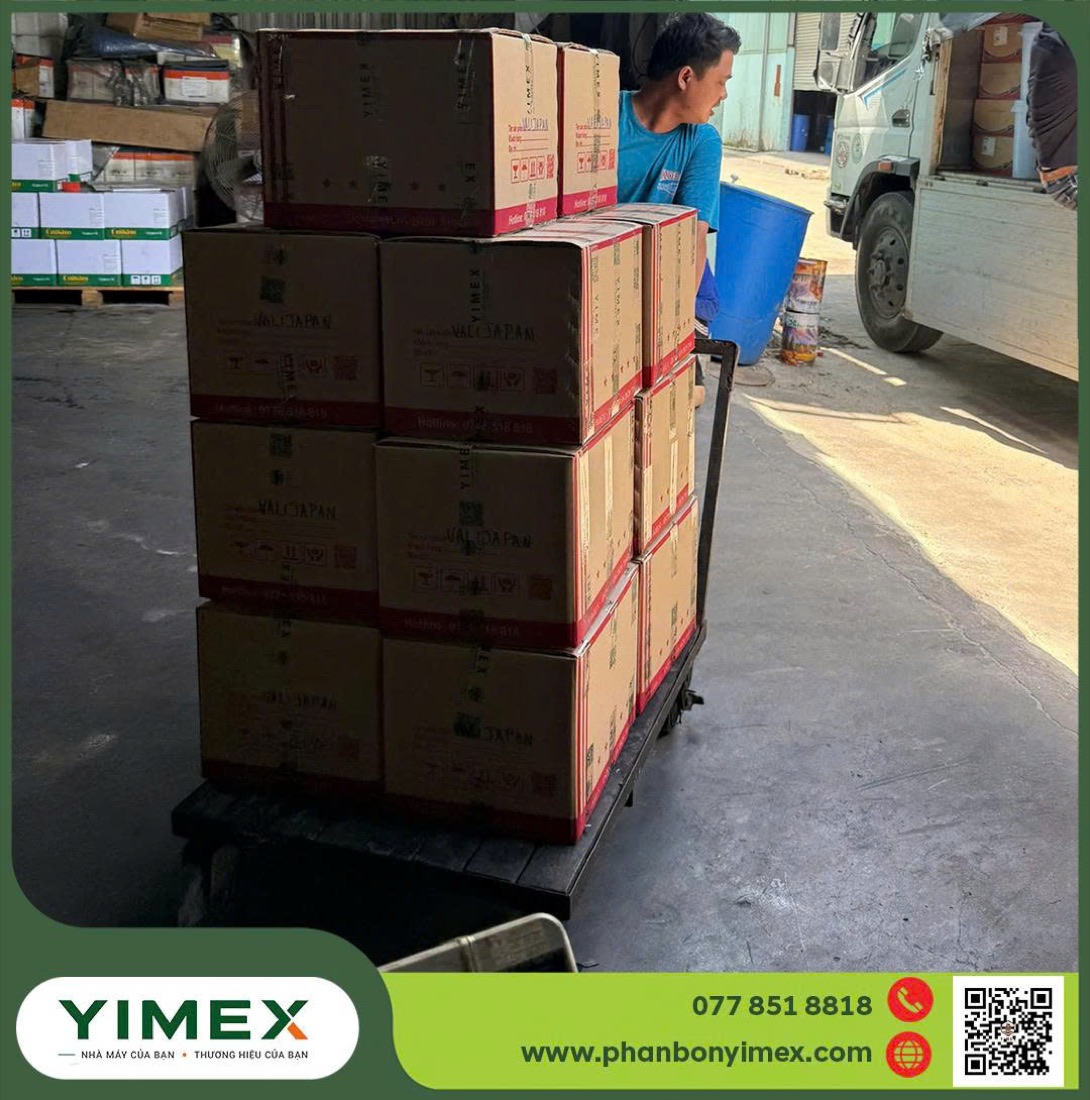 Đóng thùng, dán tem thành phẩm tại Yimex