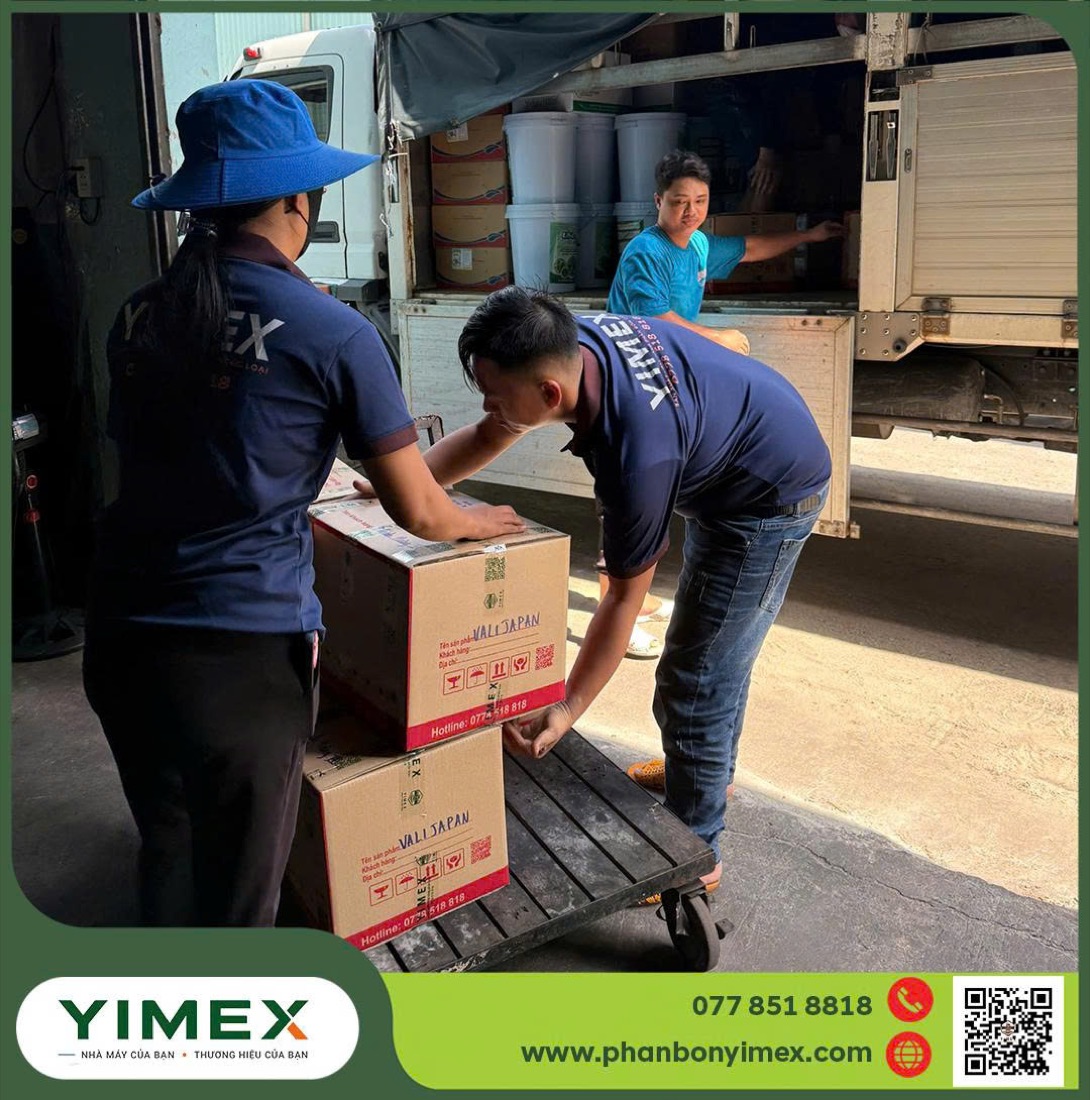 Đóng thùng, dán tem thành phẩm tại Yimex