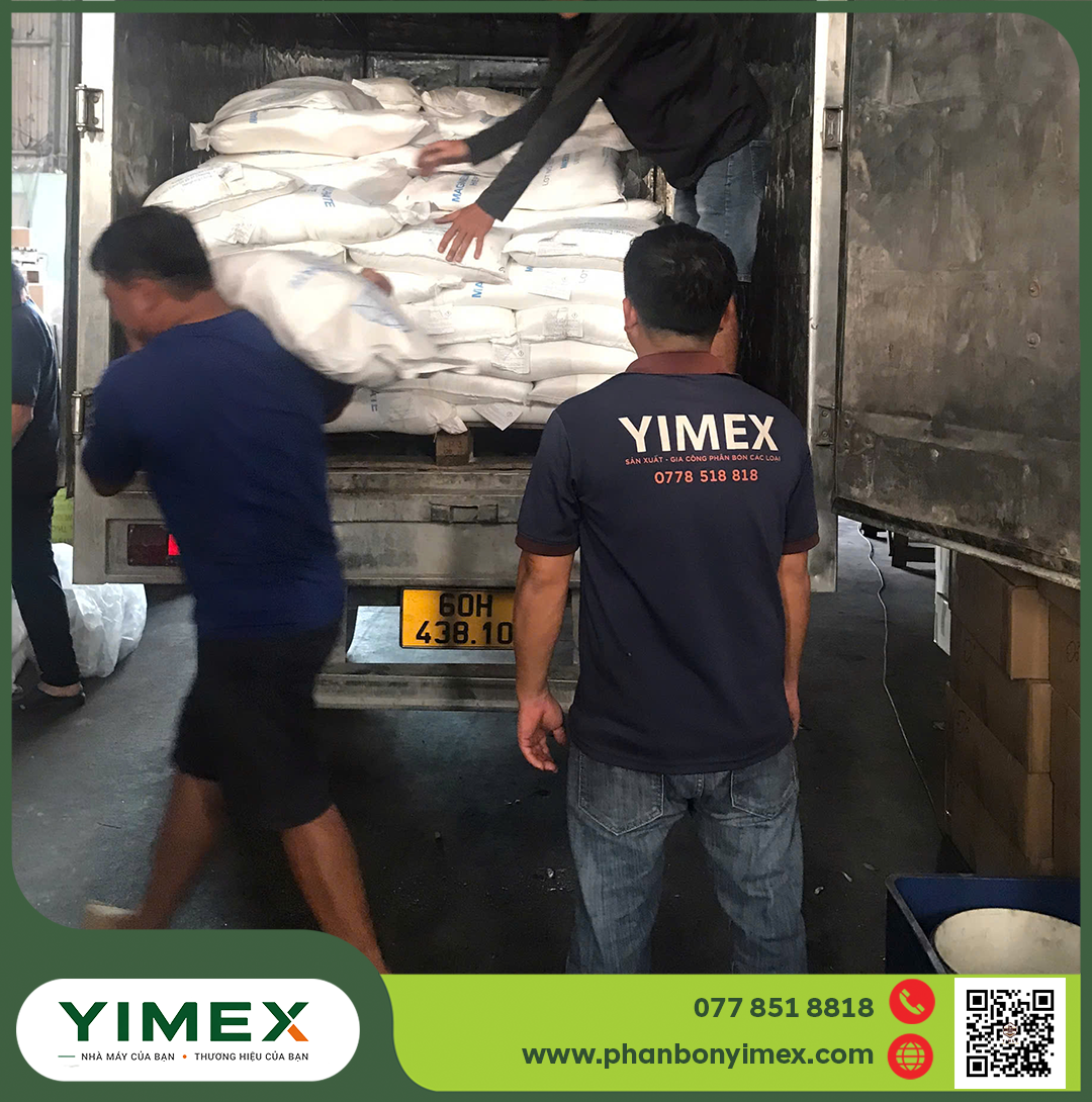 Bốc hàng phân bón lên xe giao cho đại lý — nguồn hàng phân bón cho đại lý ổn định