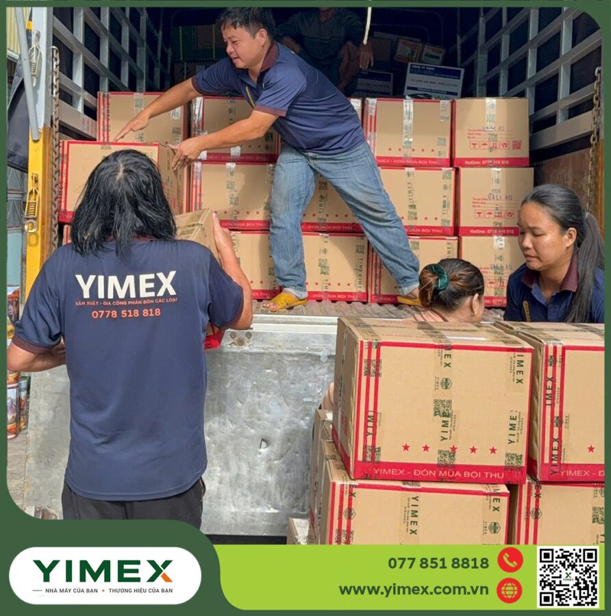 Công nhân Yimex bốc thùng phân bón lên xe giao hàng