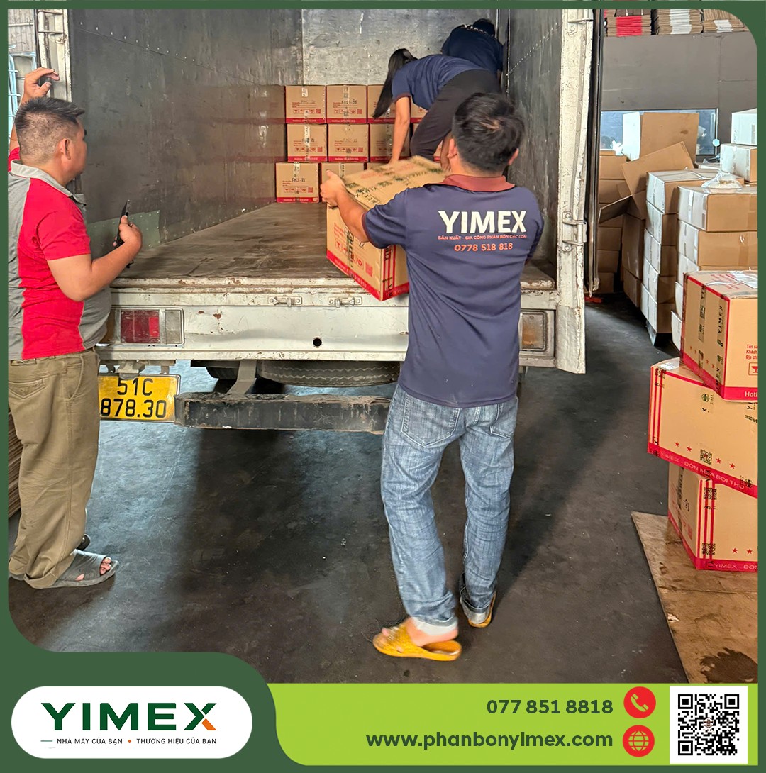 Đóng gói và giao phân bón thành phẩm Yimex