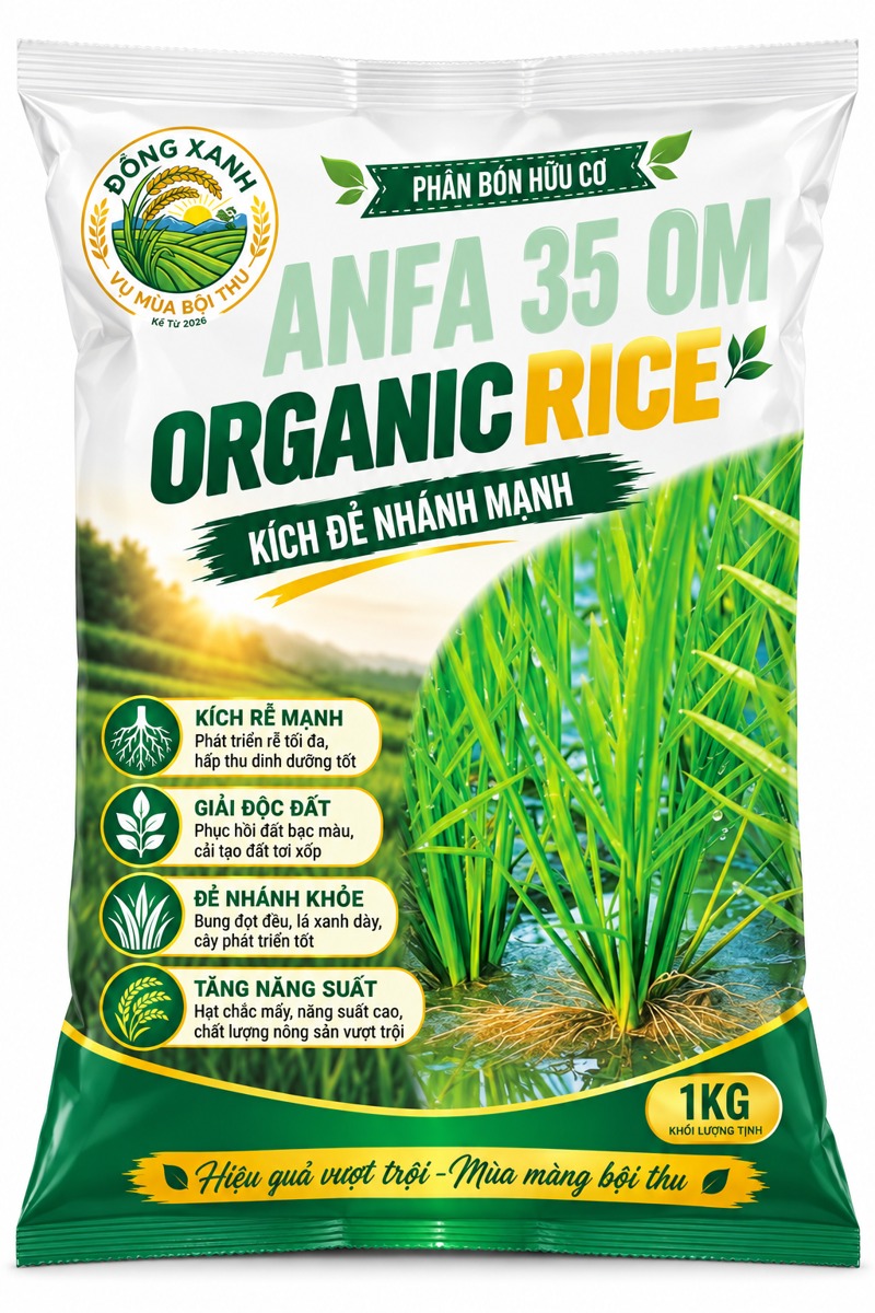 Phân bón hữu cơ ANFA 35 OM Organic Rice kích đẻ nhánh lúa cho ruộng phèn