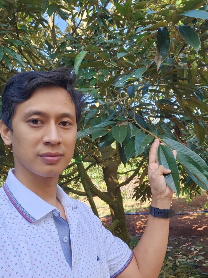 Nguyễn Đức Tốt kiểm tra vườn sầu riêng để phát hiện sớm thối rễ sầu riêng