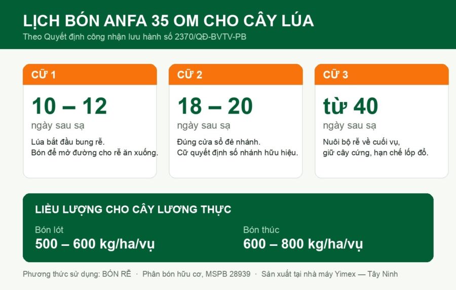 Lịch bón ANFA 35 OM cho cây lúa theo 3 cữ và liều lượng theo quyết định lưu hành