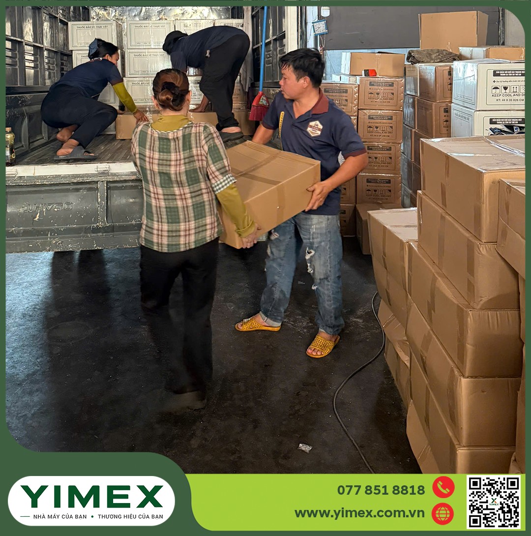 nhà máy Yimex sản xuất phân bón hữu cơ ANFA 35 OM cho cây lúa