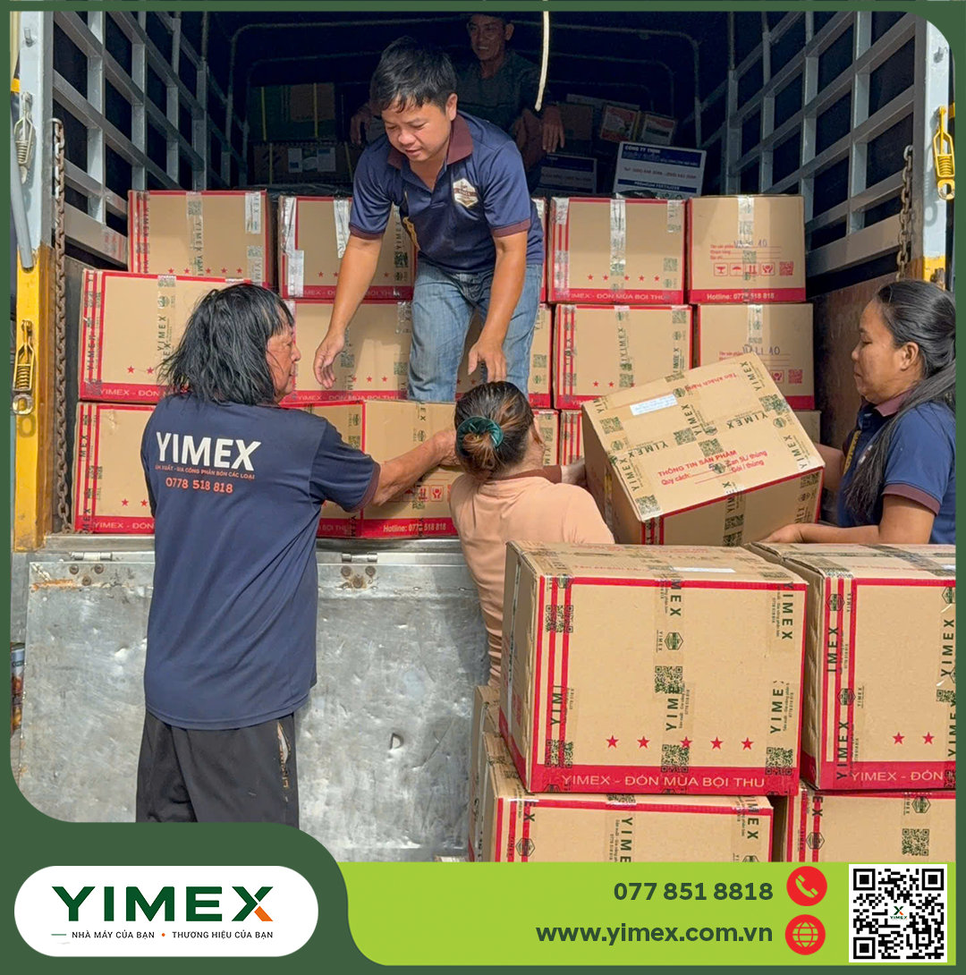 Công nhân bốc thùng phân bón tại nhà máy Yimex, KCN Thái Hoà, Tây Ninh