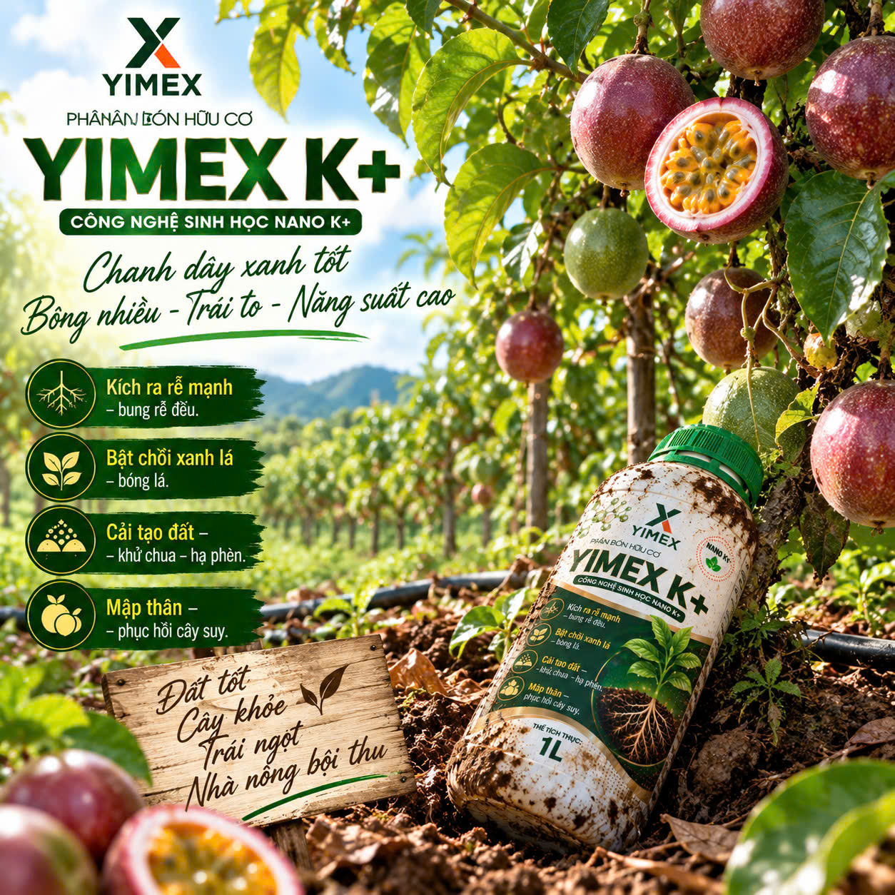 YIMEX K+ kích ra rễ mạnh bật chồi xanh lá cho vườn chanh dây