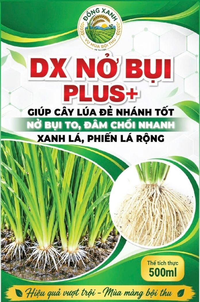 Chai DX Nở Bụi Plus 500ml phân bón hữu cơ giúp lúa đẻ nhánh, nở bụi to