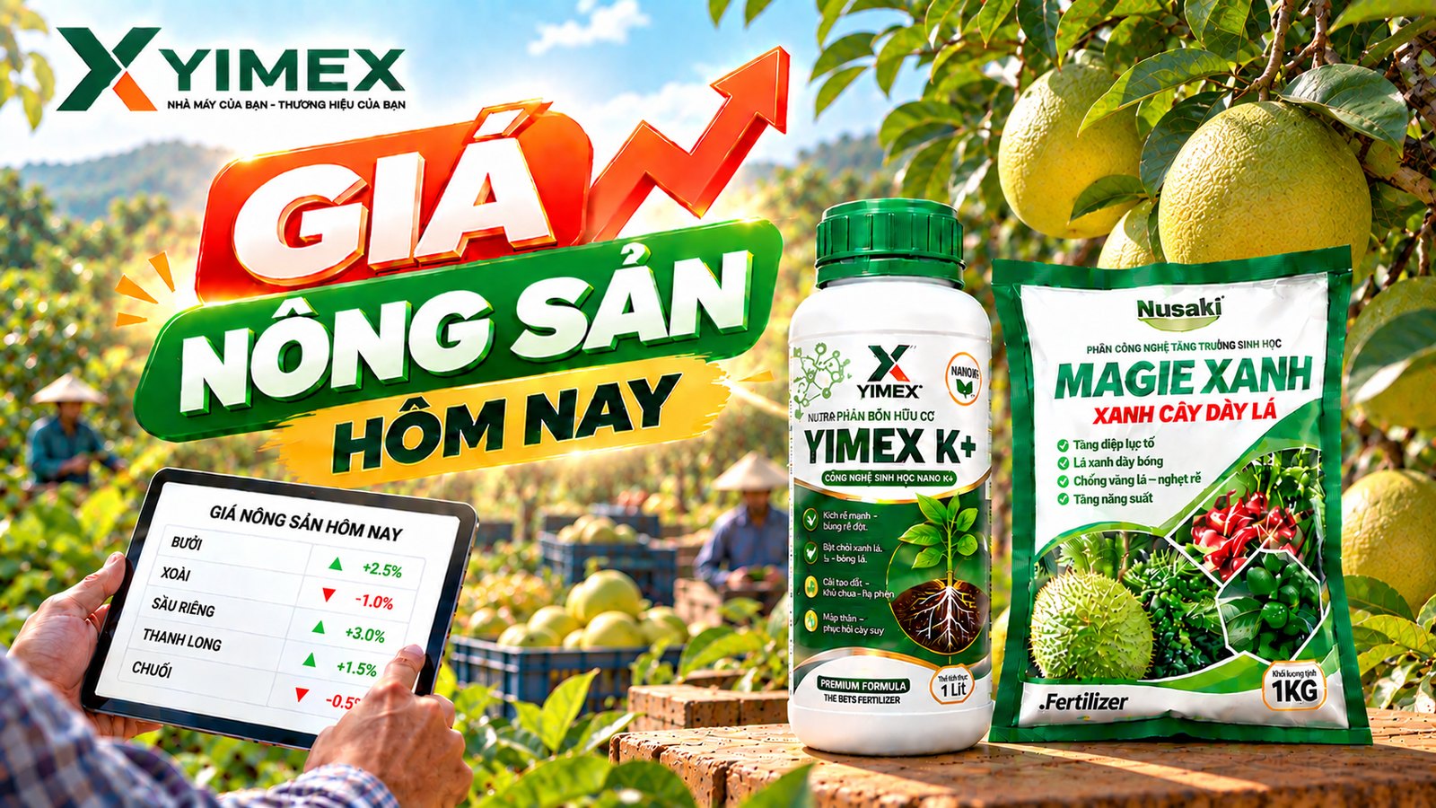 Giá hạt điều hôm nay 07/10/2026 — bảng giá điều tươi và điều nhân cập nhật cùng Yimex