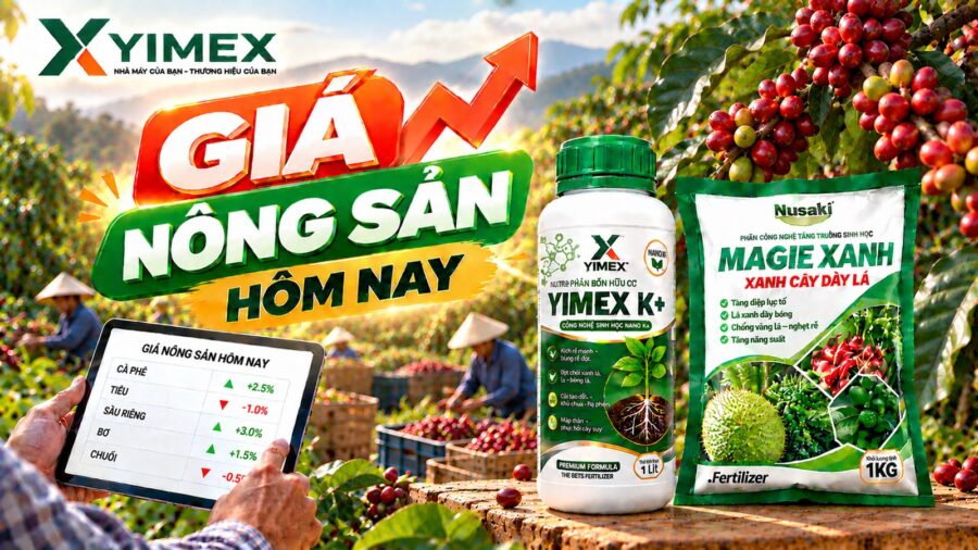 Giá nông sản hôm nay — bảng giá cập nhật cùng Yimex