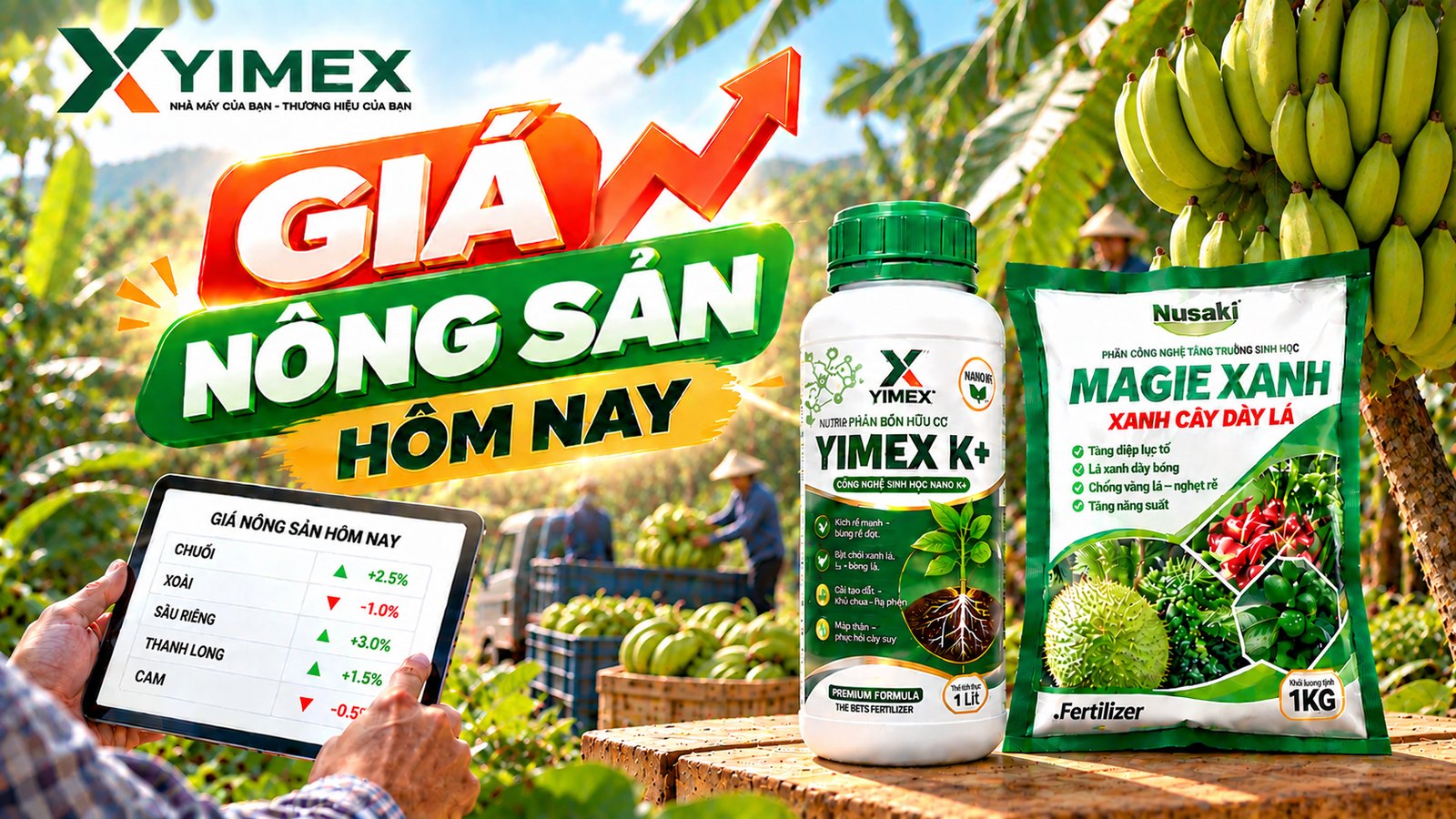 Giá mủ cao su hôm nay 06/10/2026 — bảng giá nông sản cập nhật từ Yimex
