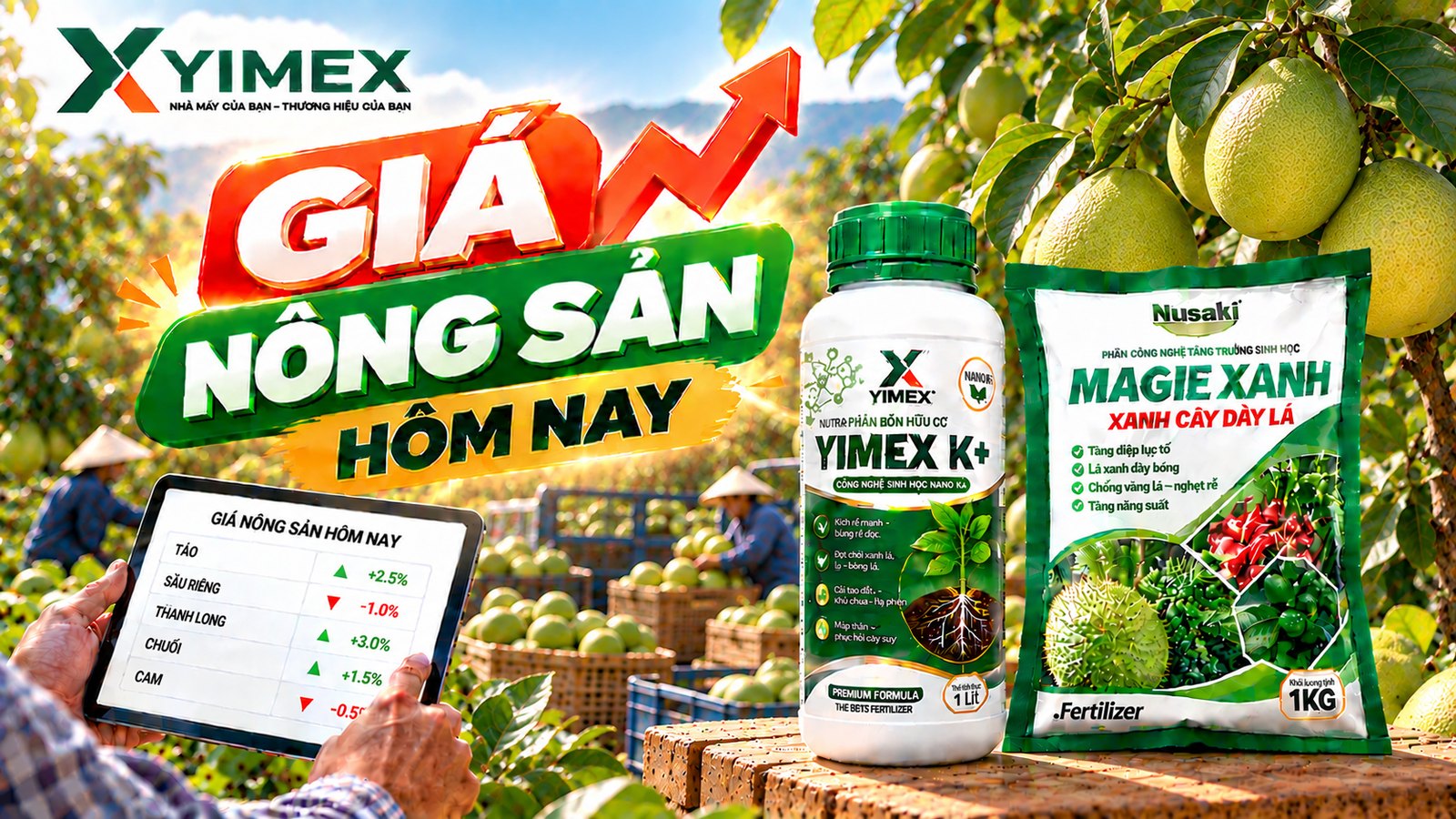 Giá macca hôm nay 09/10/2026 — bảng giá macca tươi và macca sấy khô các tỉnh