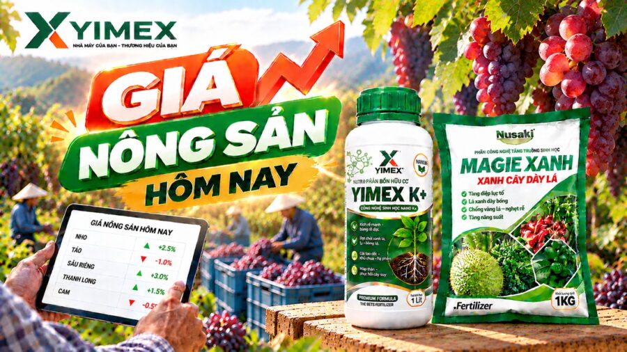 Giá nông sản hôm nay — bảng giá cập nhật cùng Yimex