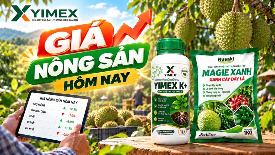 Giá nông sản hôm nay — bảng giá cập nhật cùng Yimex