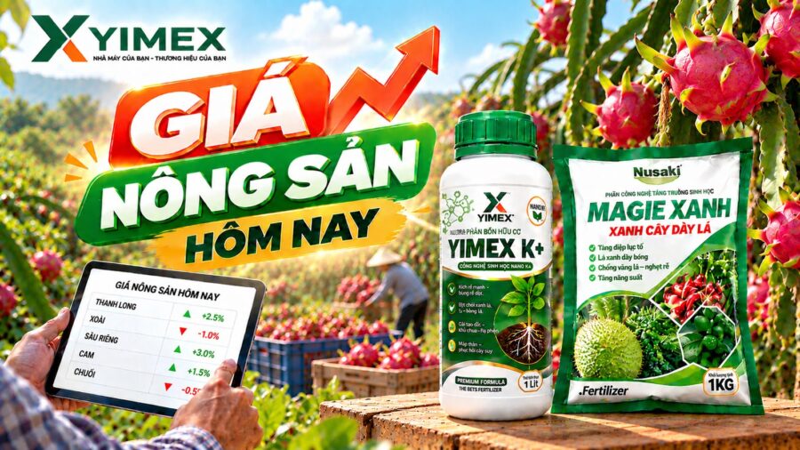 Giá nông sản hôm nay — bảng giá cập nhật cùng Yimex