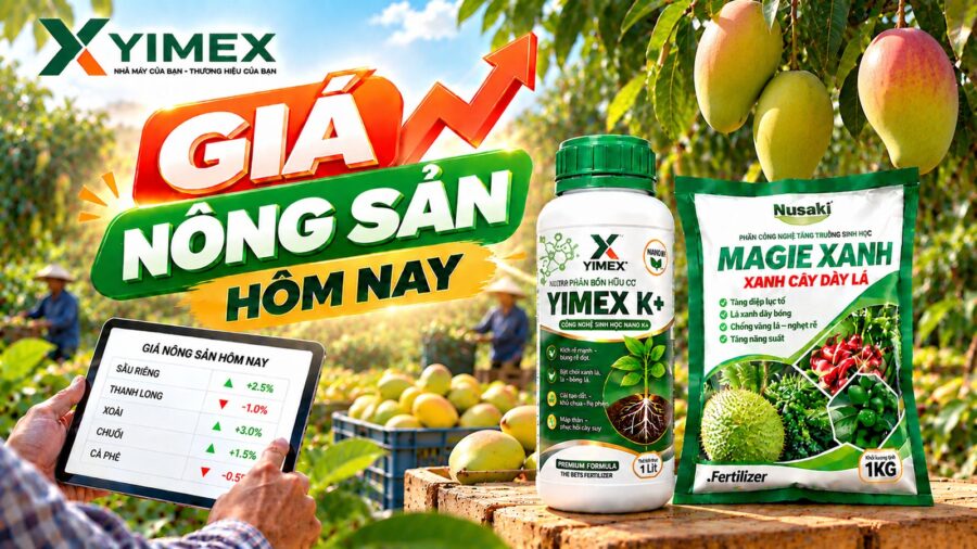 Giá nông sản hôm nay — bảng giá cập nhật cùng Yimex