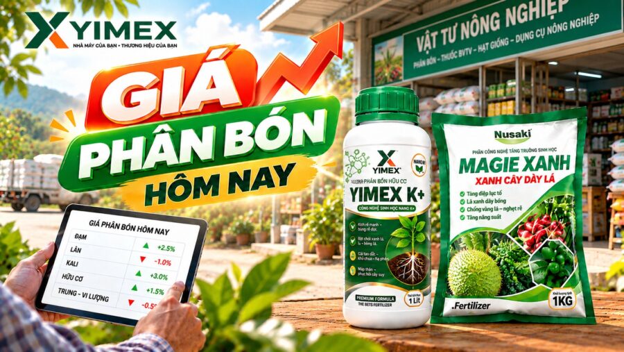 Giá phân bón hôm nay — bảng giá cập nhật cùng Yimex