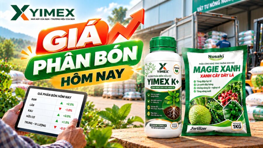 Giá phân bón hôm nay — bảng giá cập nhật cùng Yimex