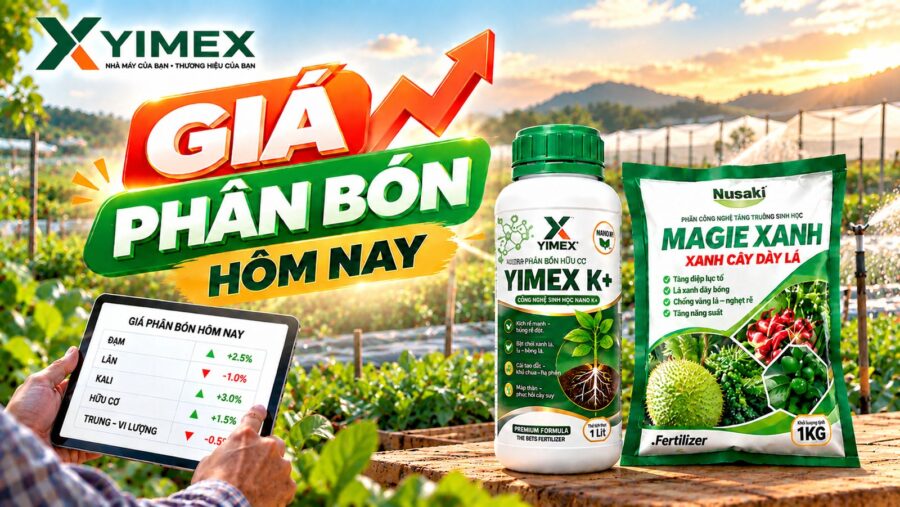 Giá phân bón hôm nay — bảng giá cập nhật cùng Yimex