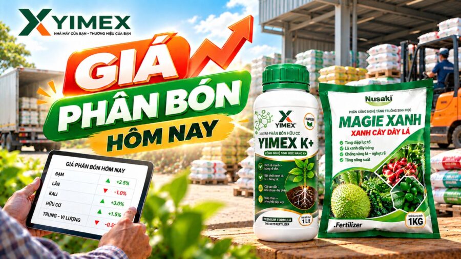 Giá phân bón hôm nay — bảng giá cập nhật cùng Yimex