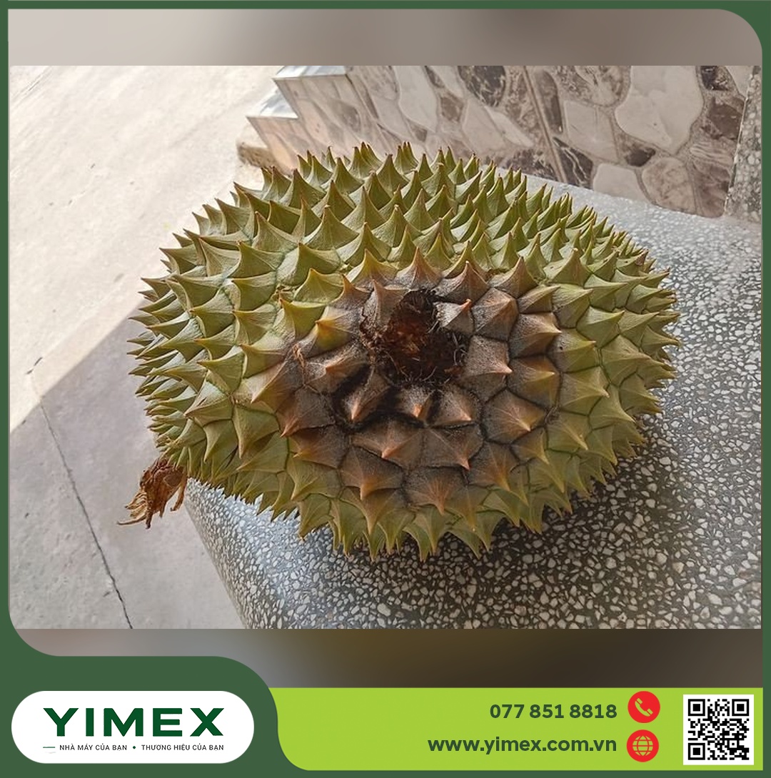 Trái sầu riêng có đốm nâu ở hốc gai, cần phân biệt vết thán thư với lỗ sâu đục trái